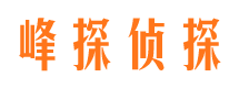 铜梁市场调查